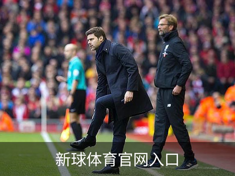 新球体育官网入口概况